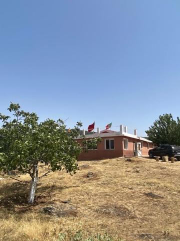 Gite Cedre Gouraud Hotel Azrou Exterior photo